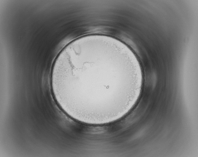 X0000116111338200911231138