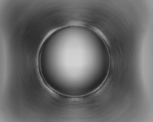 X0000116111339200911231138
