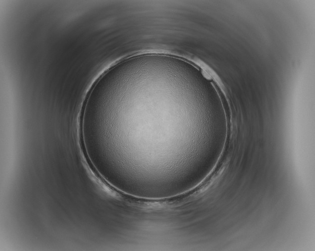 X0000116111341200911231138