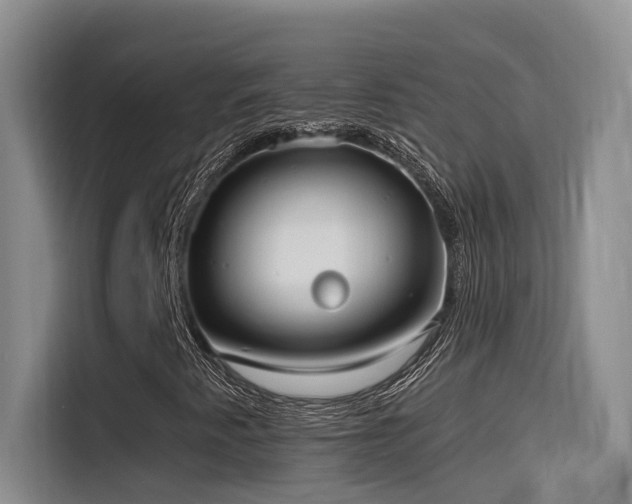 X0000116111345200911231137