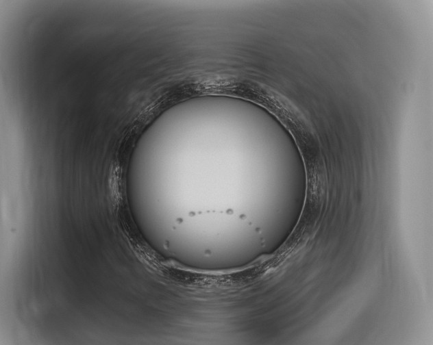 X0000116111346200911231137