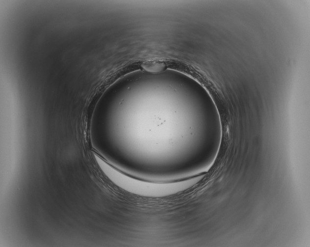 X0000116111348200911231137