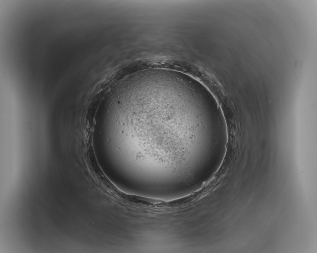X0000116111349200911231137