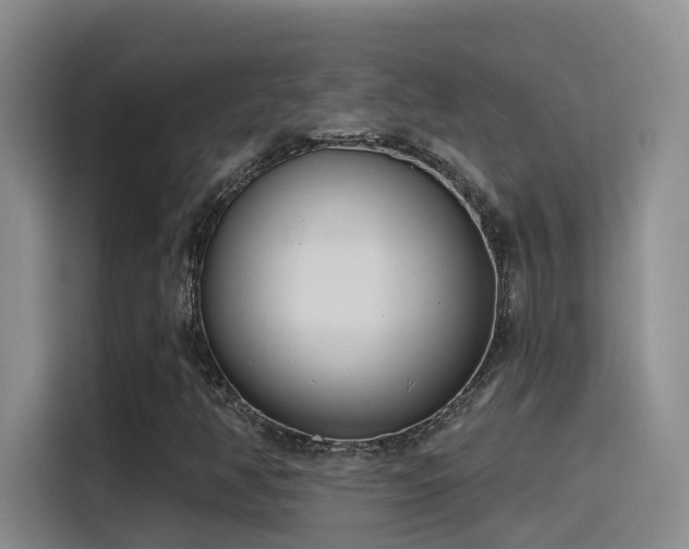 X0000116111350200911231137