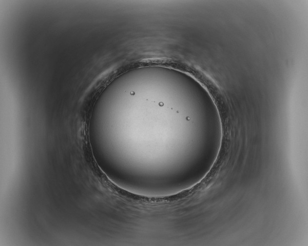 X0000116111351200911231137