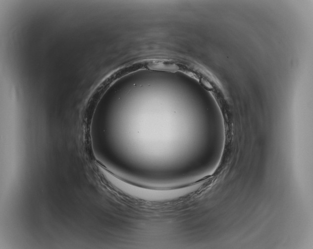 X0000116111352200911231137