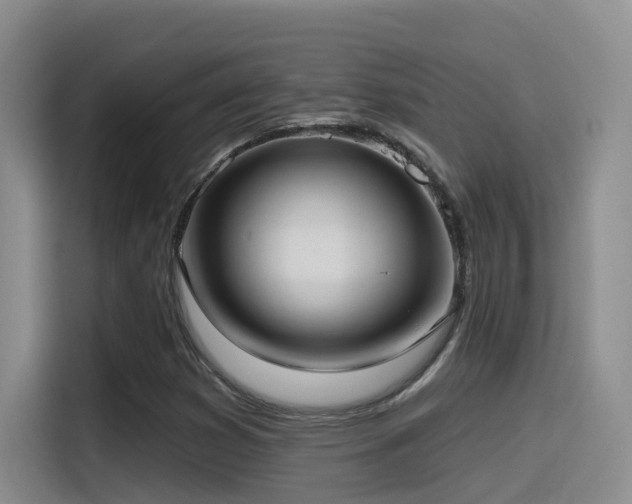 X0000116111353200911231137