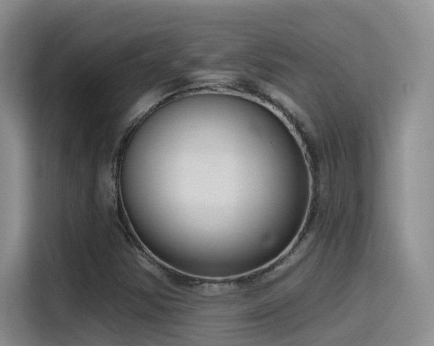 X0000116111354200911231137