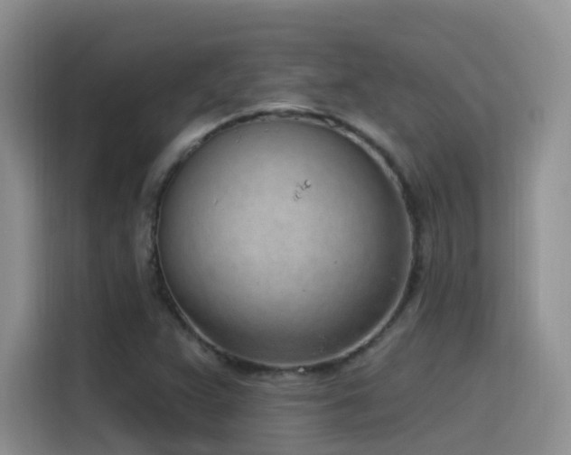 X0000116111359200911231137