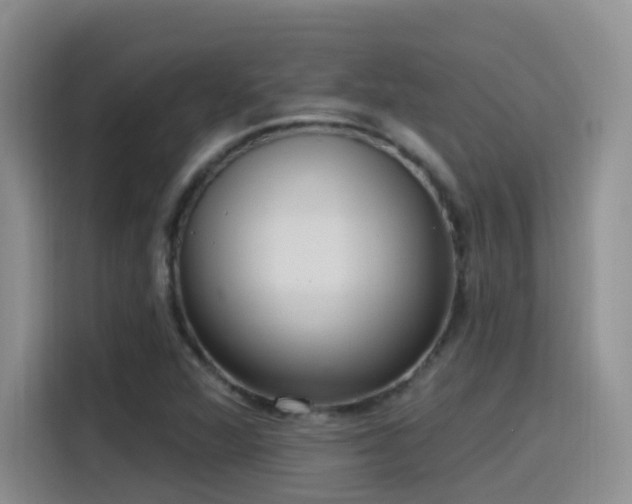 X0000116111360200911231137