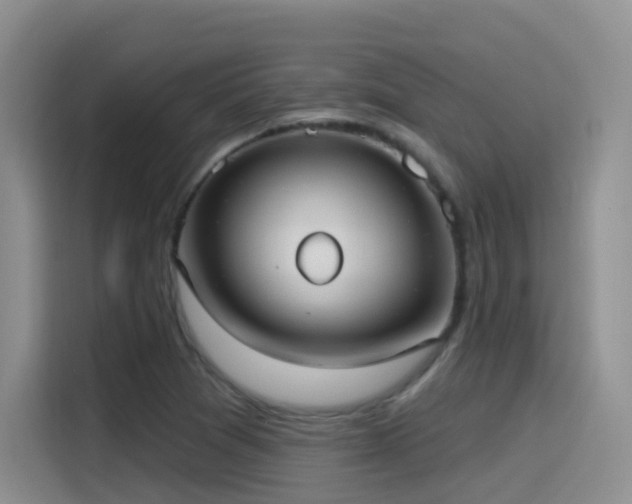 X0000116111361200911231137