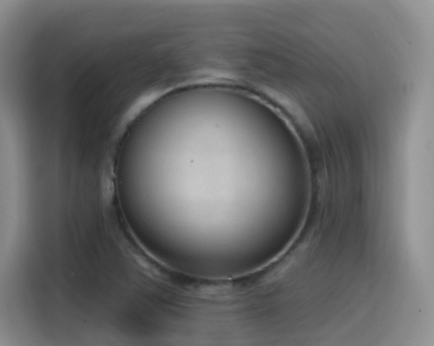 X0000116111363200911231137