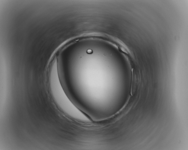 X0000116111364200911231137