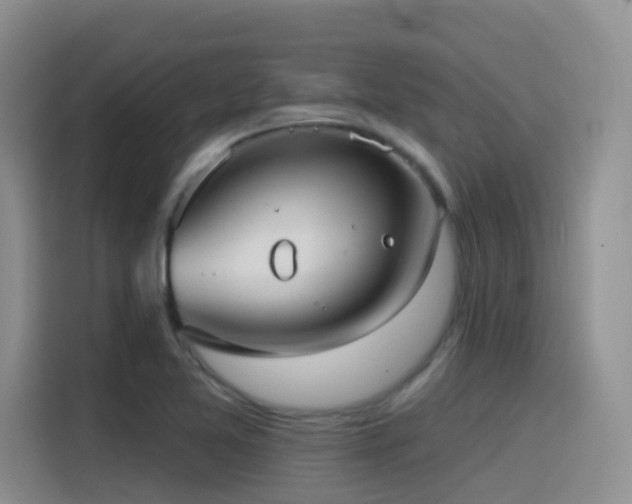 X0000116111365200911231137