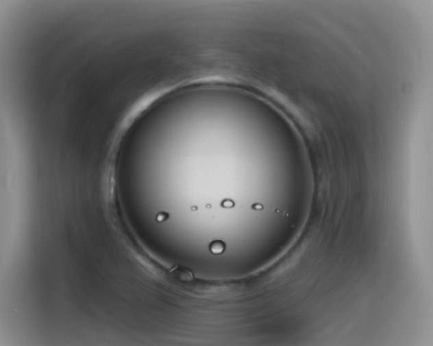 X0000116111367200911231137