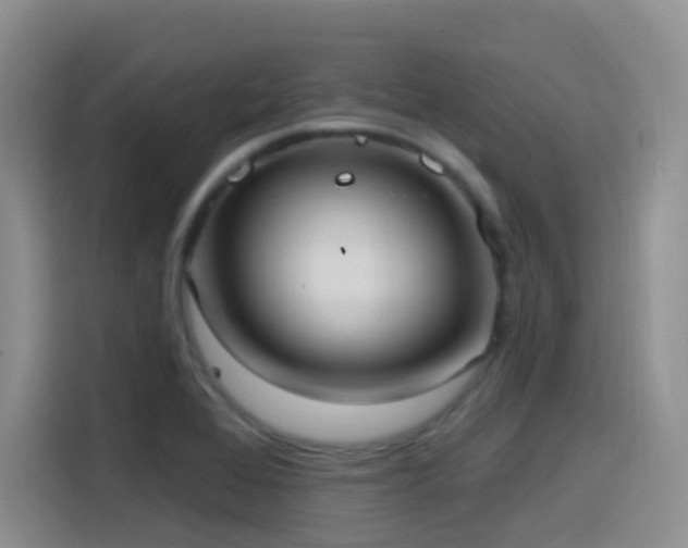 X0000116111368200911231137