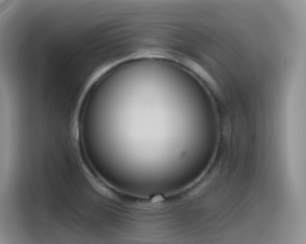 X0000116111372200911231137