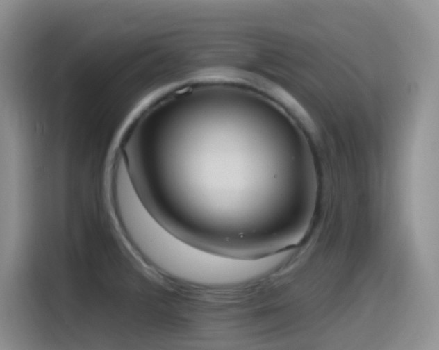 X0000116111376200911231137
