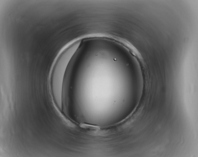 X0000116111380200911231137