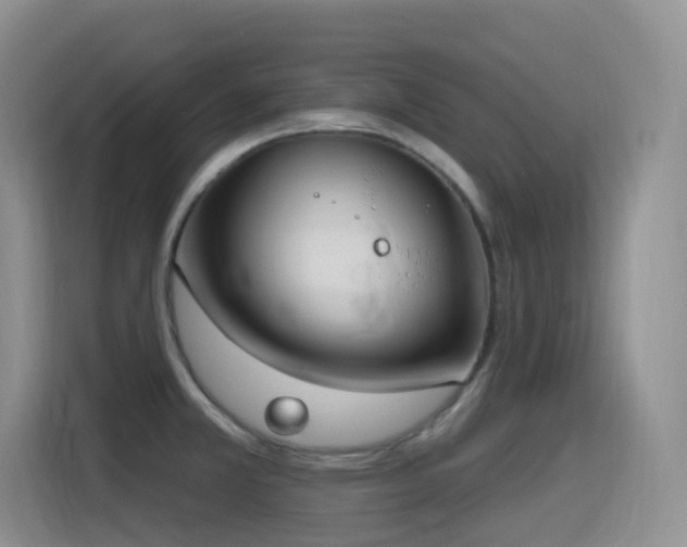 X0000116111381200911231137