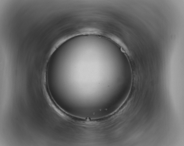 X0000116111383200911231137