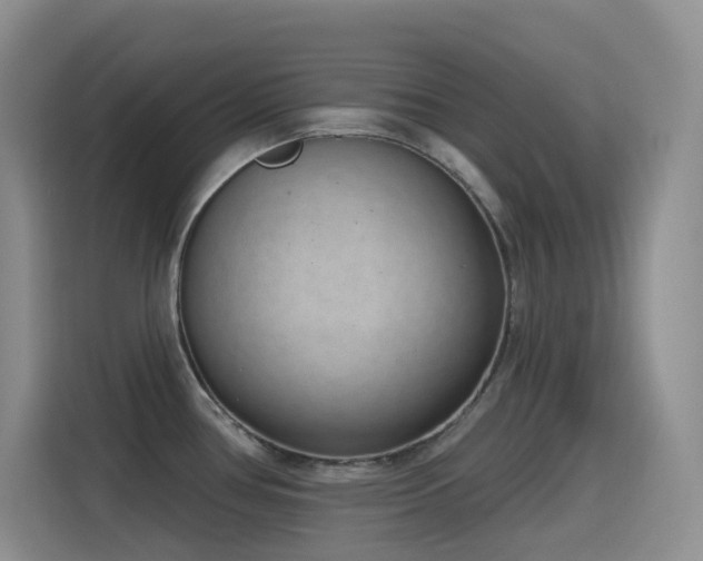 X0000116111386200911231137