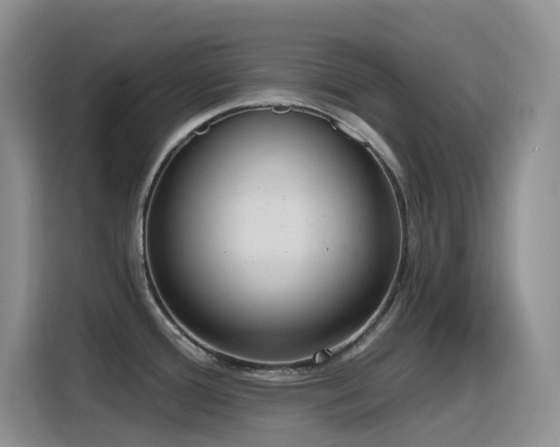 X0000116111388200911231137