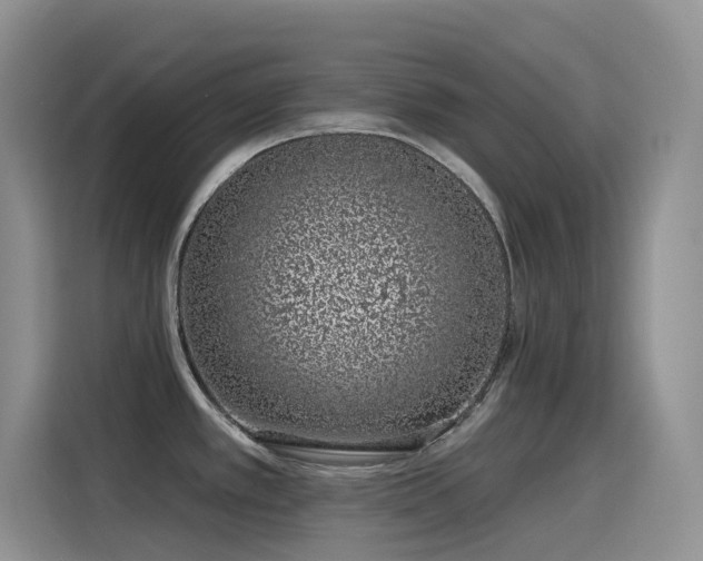 X0000116111389200911231137