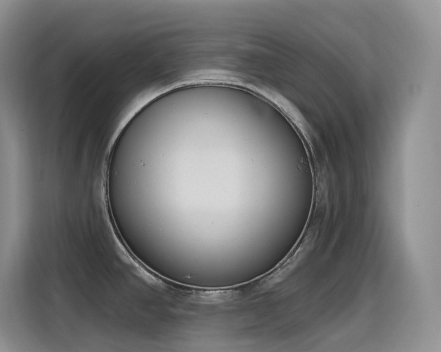 X0000116111390200911231137