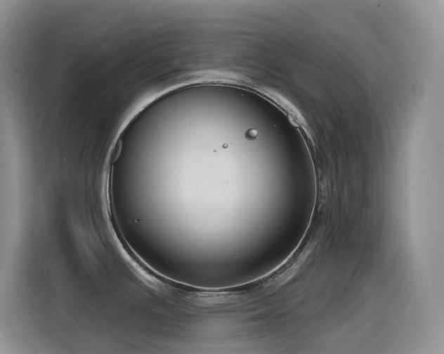 X0000116111391200911231137