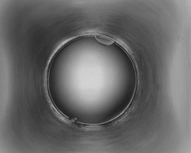 X0000116111392200911231137