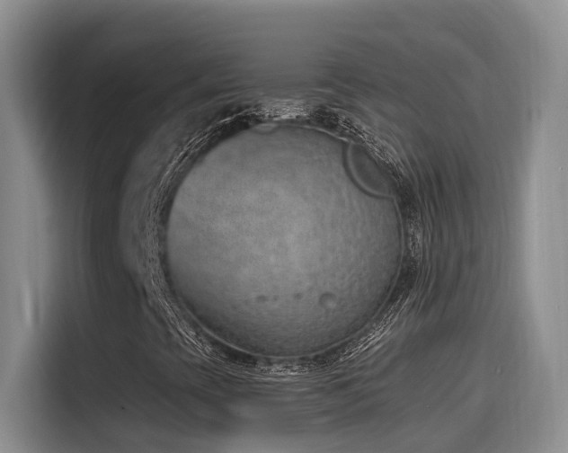 X0000116111393200911231136