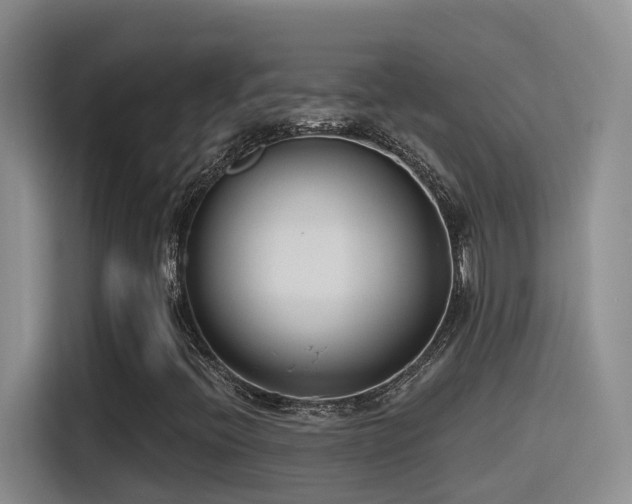 X0000116111396200911231136