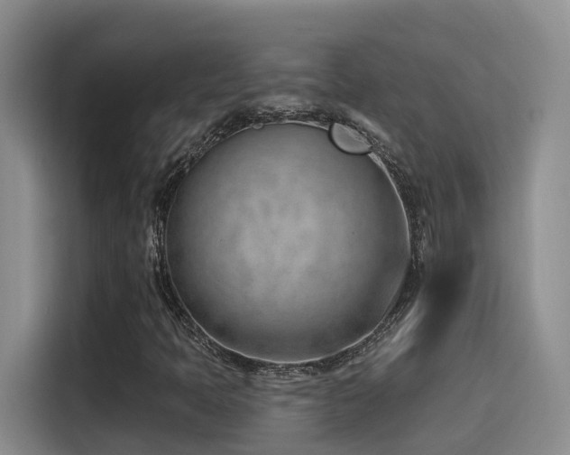 X0000116111397200911231136