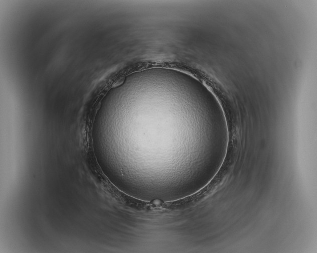 X0000116111398200911231136