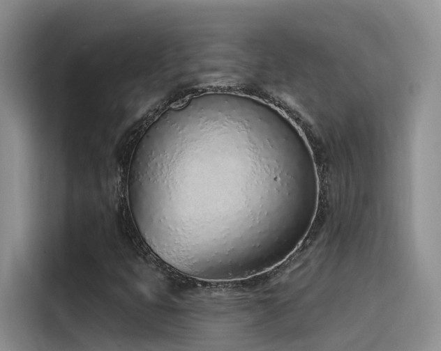 X0000116111399200911231136