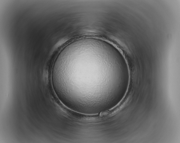 X0000116111402200911231136