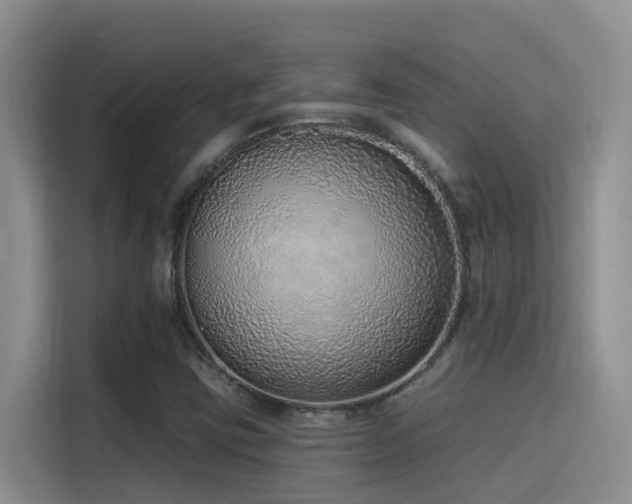 X0000116111403200911231136