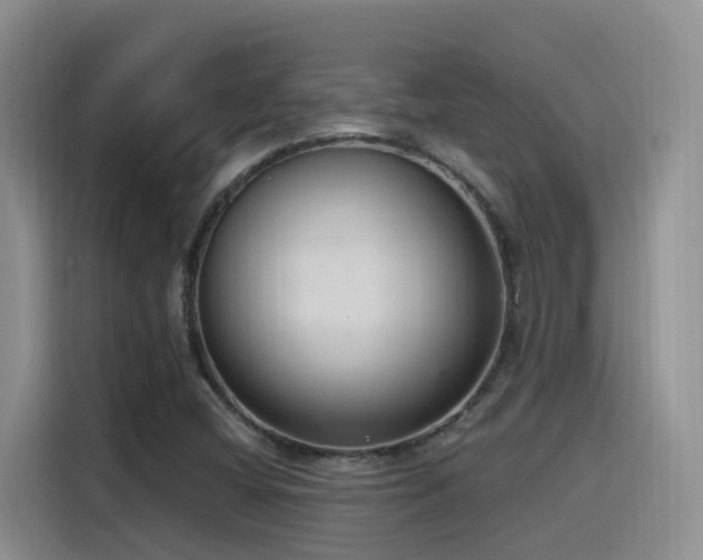 X0000116111404200911231136
