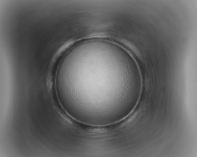 X0000116111406200911231136
