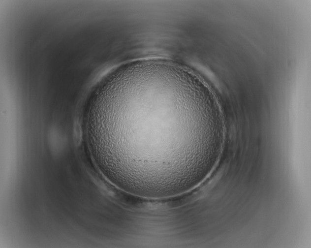 X0000116111407200911231136