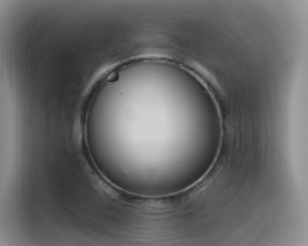 X0000116111408200911231136