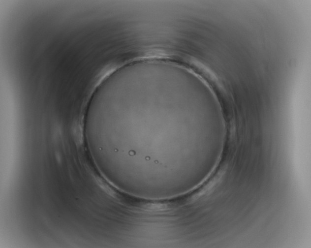 X0000116111409200911231136
