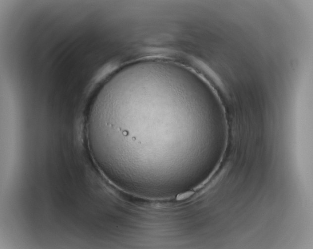X0000116111411200911231136