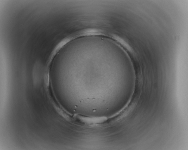 X0000116111413200911231136