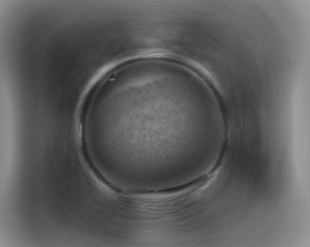 X0000116111414200911231136