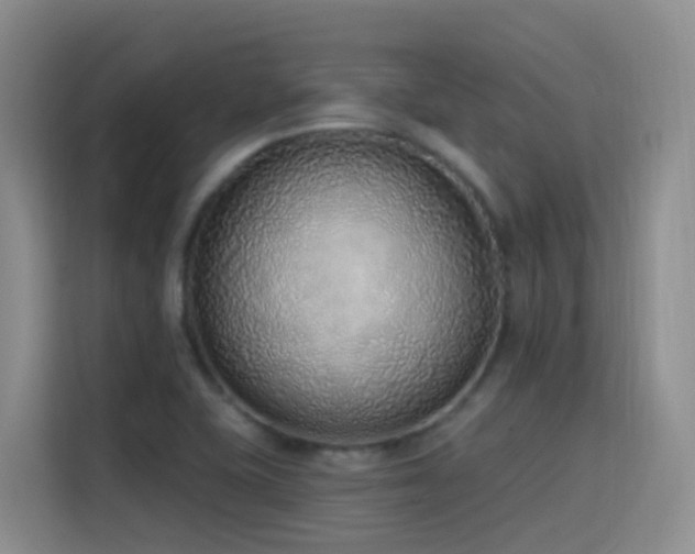 X0000116111415200911231136