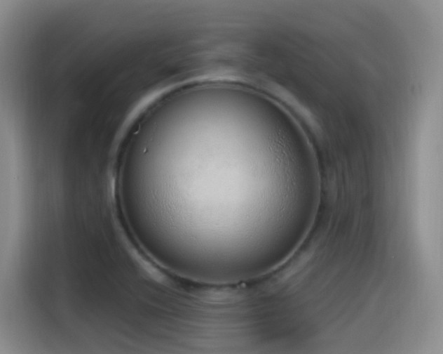 X0000116111416200911231136