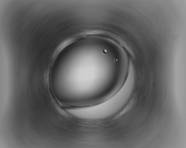 X0000116111417200911231136
