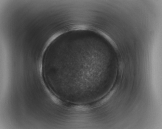 X0000116111418200911231136